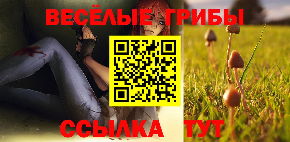 Карасук  Галлюциногенные грибы Psilocybe  Вход с VPN 