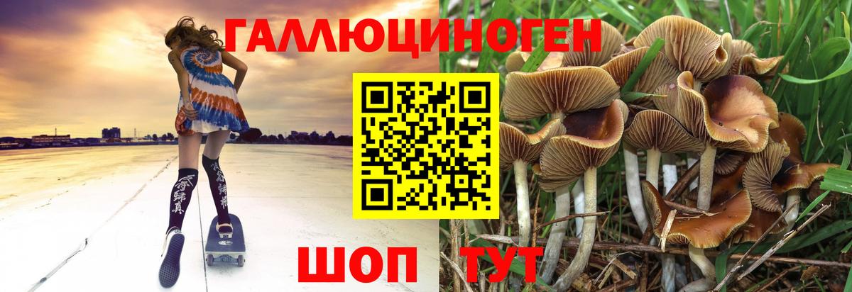 Псилоцибиновые грибы мицелий Карасук